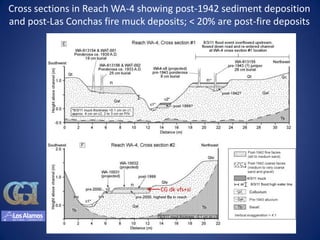 Cross sections in Reach WA-4 showing post-1942 sediment deposition
and post-Las Conchas fire muck deposits; < 20% are post-fire deposits




                                  CG dk vfs+si
 