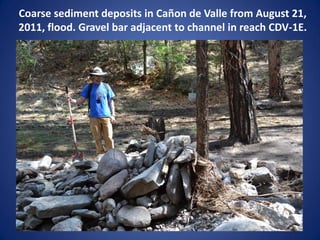 Coarse sediment deposits in Cañon de Valle from August 21,
2011, flood. Gravel bar adjacent to channel in reach CDV-1E.
 