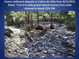 Coarse sediment deposits in Cañon de Valle from 8/21/2011
   flood. ~2 to 4 m wide gravel deposit buries 0.5m wide
                  channel in Reach CDV-2W
 