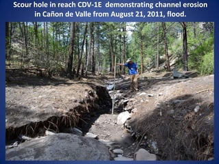 Scour hole in reach CDV-1E demonstrating channel erosion
      in Cañon de Valle from August 21, 2011, flood.
 