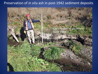 Preservation of in situ ash in post-1942 sediment deposits




                                Cerro Grande muck deposit
                                (June 2000)
 