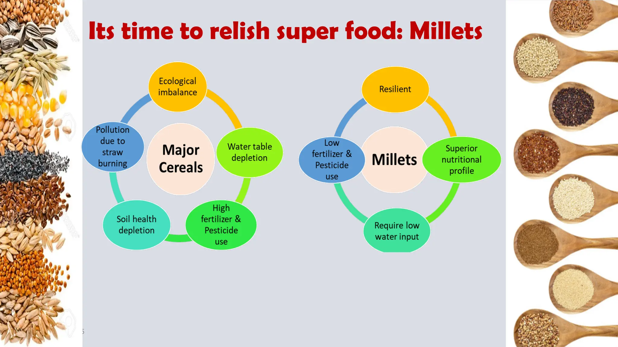 Post-harvest management of millet grains | PPTX