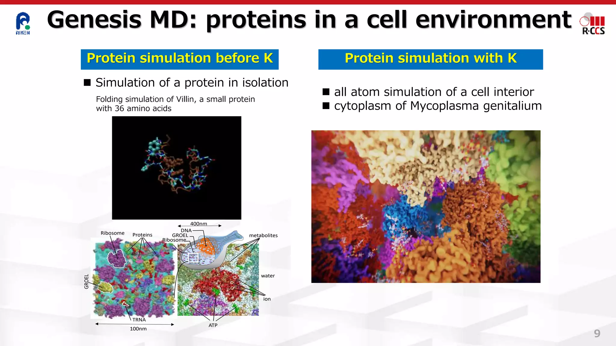 Protein simulation before K
◼ Simulation of a protein in isolation
Folding simulation of Villin, a small protein
with 36 amino acids
Protein simulation with K
DNA
GROEL
Ribosome
ProteinsRibosome
GROEL
400nm
TRNA
100nm
ATP
water
ion
metabolites
Genesis MD: proteins in a cell environment
9
◼ all atom simulation of a cell interior
◼ cytoplasm of Mycoplasma genitalium
 