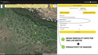 INFANT MORTALITY RATE PER
1000 LIVE BIRTHS
PRODUCTIVITY OF MASOOR
 