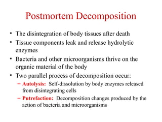 Undigested Food Postmortem Interval Post-Mortem-Interval TSD.pptx for toxicology | PPTX