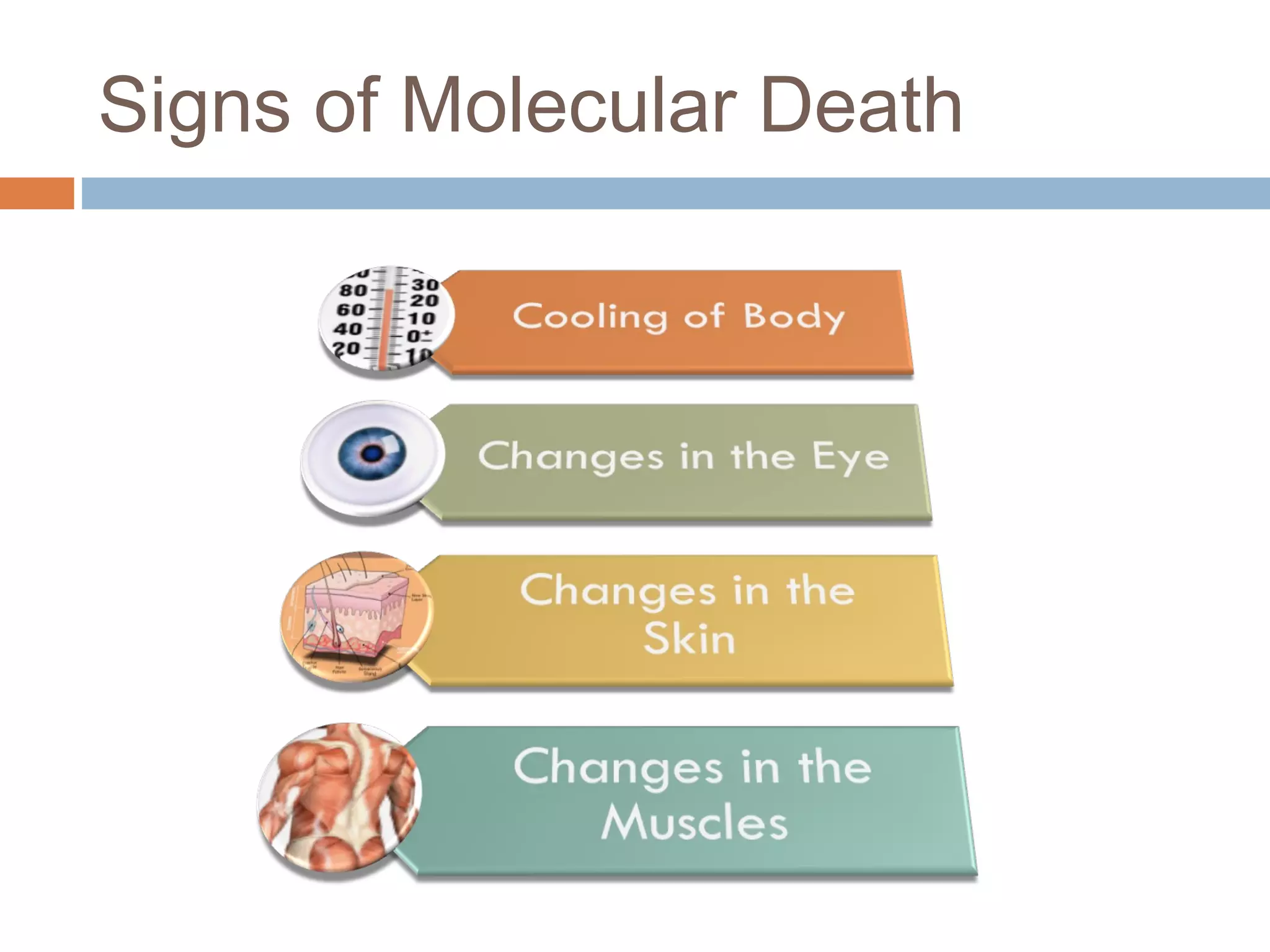 Post Mortem Changes | PPT