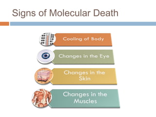 Signs of Molecular Death
 