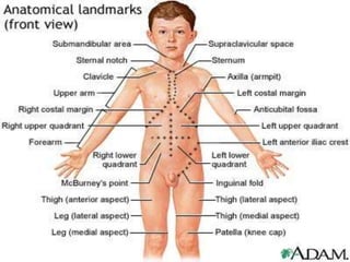 External Examination of InjuriesFrom head to foot& from front to back Injury: Situation (Position) Extent Nature (Contusion, Abrasion,     Lacerated, Incised, Stabbed or Punctured) Dimension Condition of Edges Course and direction of bullet Direction of blood smear 