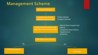 Obstruction Relieved
Instatement of Urine
Collection Instruments
Mental Status Impairment
Edema
Congestive Heart Failure
Hypertension
Azotemia
FolleyCatheter
Condom Catheter
Assess Hydration status and
Post-Obstructive Diuresis Risk
Post Obstructive Diuresis
POD Management
Discharge
Yes No
 