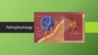 Pathophysiology
 