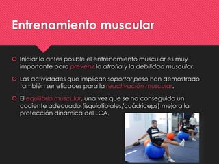 Entrenamiento muscular
 Iniciar lo antes posible el entrenamiento muscular es muy
importante para prevenir la atrofia y la debilidad muscular.
 Las actividades que implican soportar peso han demostrado
también ser eficaces para la reactivación muscular.
 El equilibrio muscular, una vez que se ha conseguido un
cociente adecuado (isquiotibiales/cuádriceps) mejora la
protección dinámica del LCA.
 