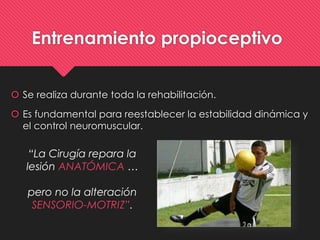Entrenamiento propioceptivo
 Se realiza durante toda la rehabilitación.
 Es fundamental para reestablecer la estabilidad dinámica y
el control neuromuscular.
“La Cirugía repara la
lesión ANATÓMICA …
pero no la alteración
SENSORIO-MOTRIZ”.
 