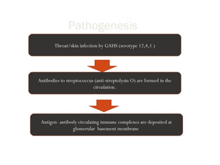 Pathogenesis
Throat/skin infection by GAHS (serotype 12,4,1 )
Antibodies to streptococcus (anti-streptolysin O) are formed in the
circulation.
Antigen- antibody circulating immune complexes are deposited at
glomerular basement membrane
 