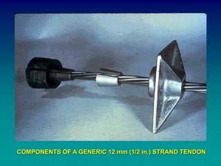 COMPONENTS OF A GENERIC 12 mm (1/2 in.) STRAND TENDON
 