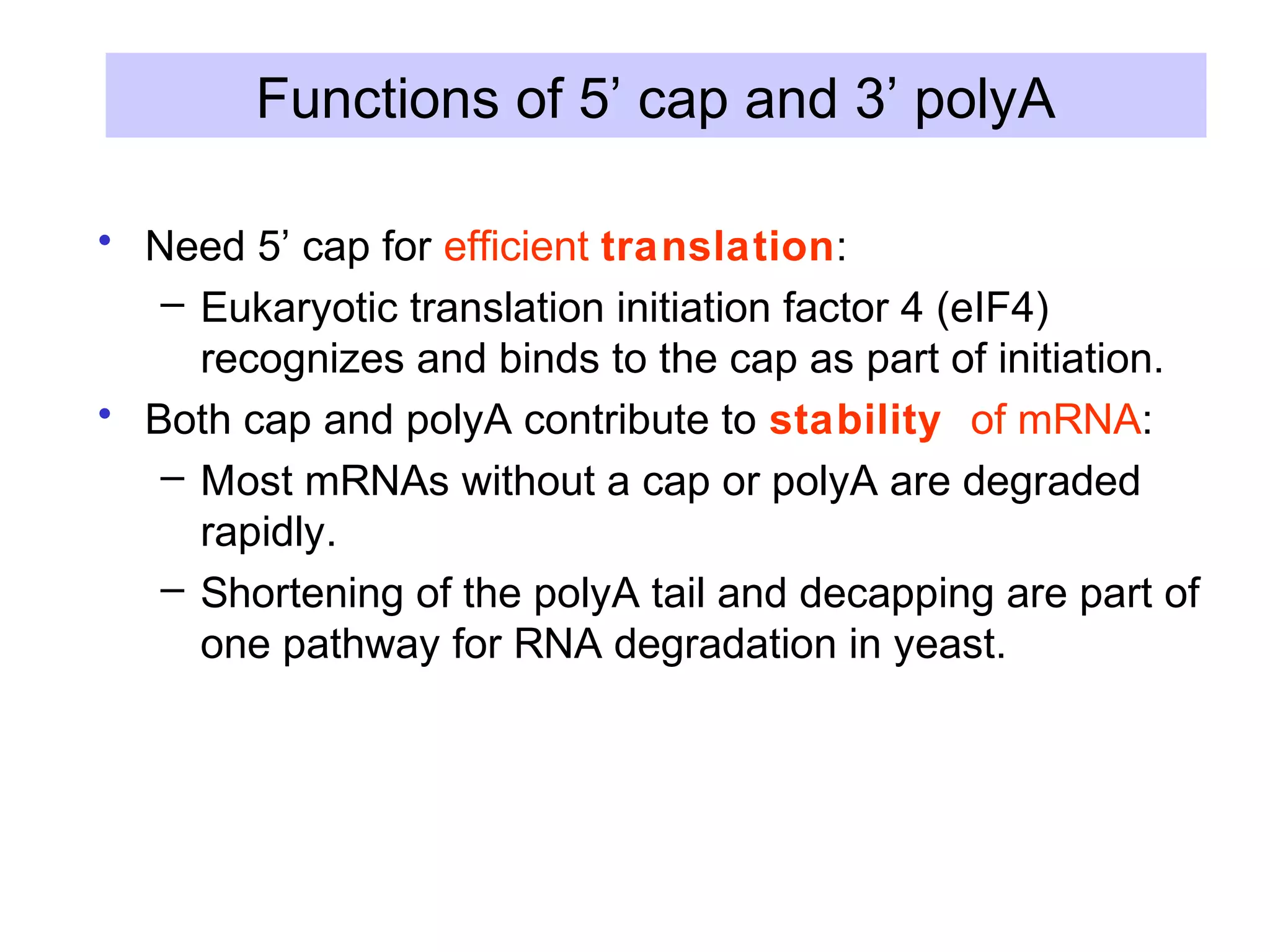 Functions of 5’ cap and 3’ polyA
• Need 5’ cap for efficient translation:
– Eukaryotic translation initiation factor 4 (eIF4)
recognizes and binds to the cap as part of initiation.
• Both cap and polyA contribute to stability of mRNA:
– Most mRNAs without a cap or polyA are degraded
rapidly.
– Shortening of the polyA tail and decapping are part of
one pathway for RNA degradation in yeast.
 