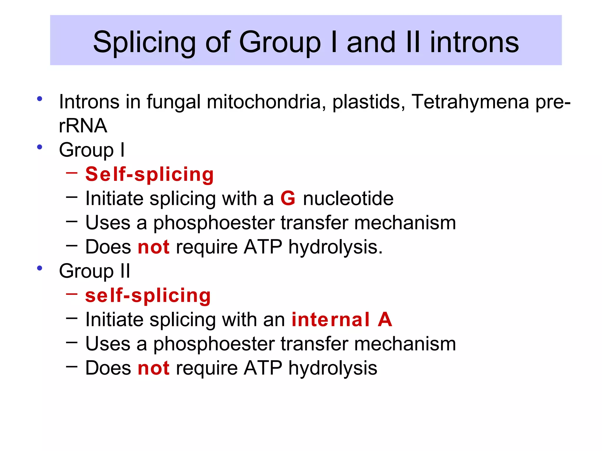 Splicing of Group I and II introns
• Introns in fungal mitochondria, plastids, Tetrahymena pre-
rRNA
• Group I
– Self-splicing
– Initiate splicing with a G nucleotide
– Uses a phosphoester transfer mechanism
– Does not require ATP hydrolysis.
• Group II
– self-splicing
– Initiate splicing with an internal A
– Uses a phosphoester transfer mechanism
– Does not require ATP hydrolysis
 