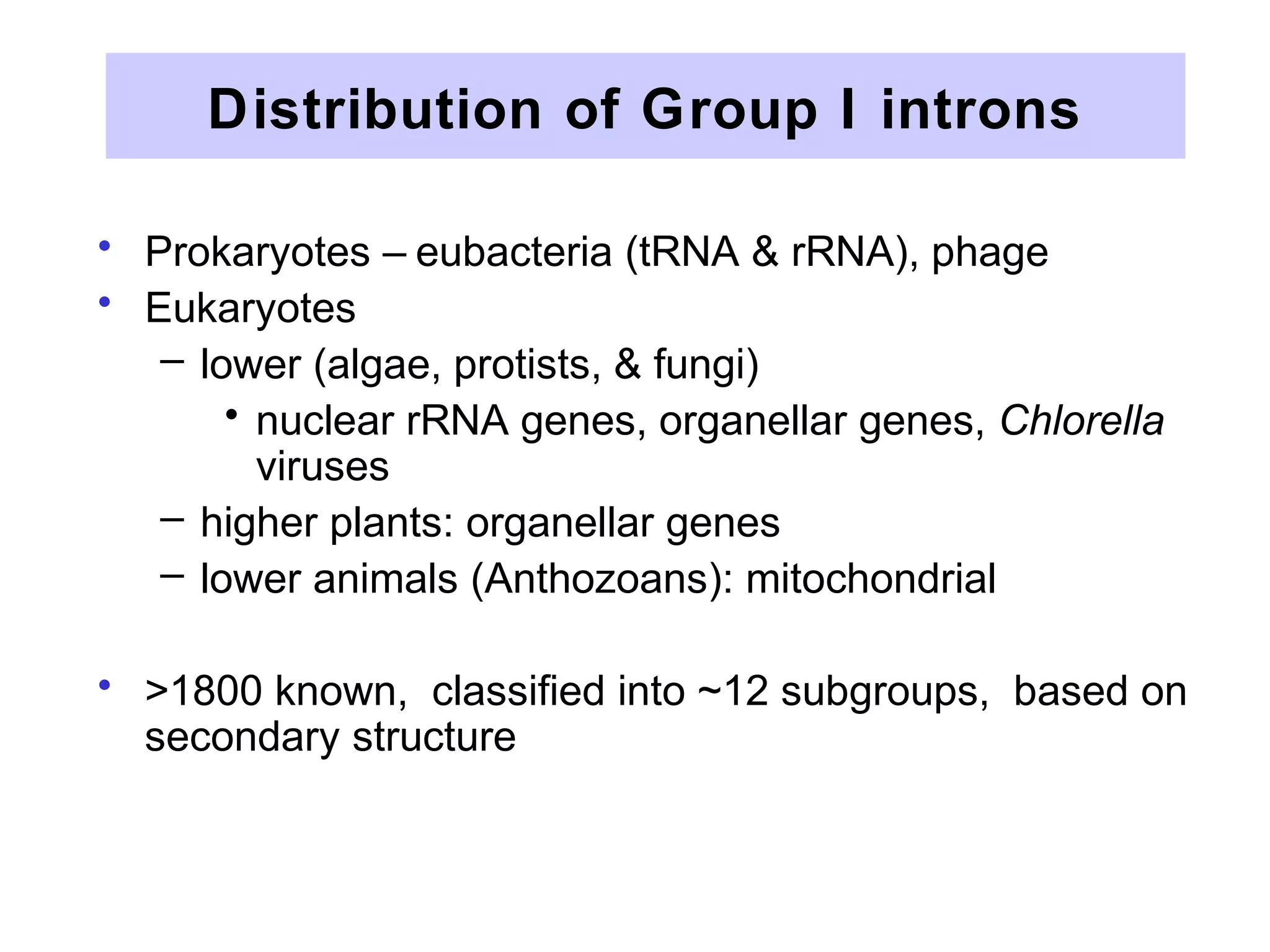 Distribution of Group I introns
• Prokaryotes – eubacteria (tRNA & rRNA), phage
• Eukaryotes
– lower (algae, protists, & fungi)
• nuclear rRNA genes, organellar genes, Chlorella
viruses
– higher plants: organellar genes
– lower animals (Anthozoans): mitochondrial
• >1800 known, classified into ~12 subgroups, based on
secondary structure
 