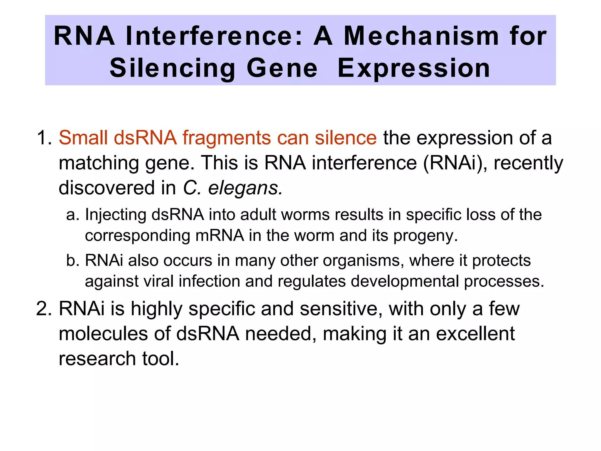 RNA Interference: A Mechanism for
Silencing Gene Expression
1. Small dsRNA fragments can silence the expression of a
matching gene. This is RNA interference (RNAi), recently
discovered in C. elegans.
a. Injecting dsRNA into adult worms results in specific loss of the
corresponding mRNA in the worm and its progeny.
b. RNAi also occurs in many other organisms, where it protects
against viral infection and regulates developmental processes.
2. RNAi is highly specific and sensitive, with only a few
molecules of dsRNA needed, making it an excellent
research tool.
 