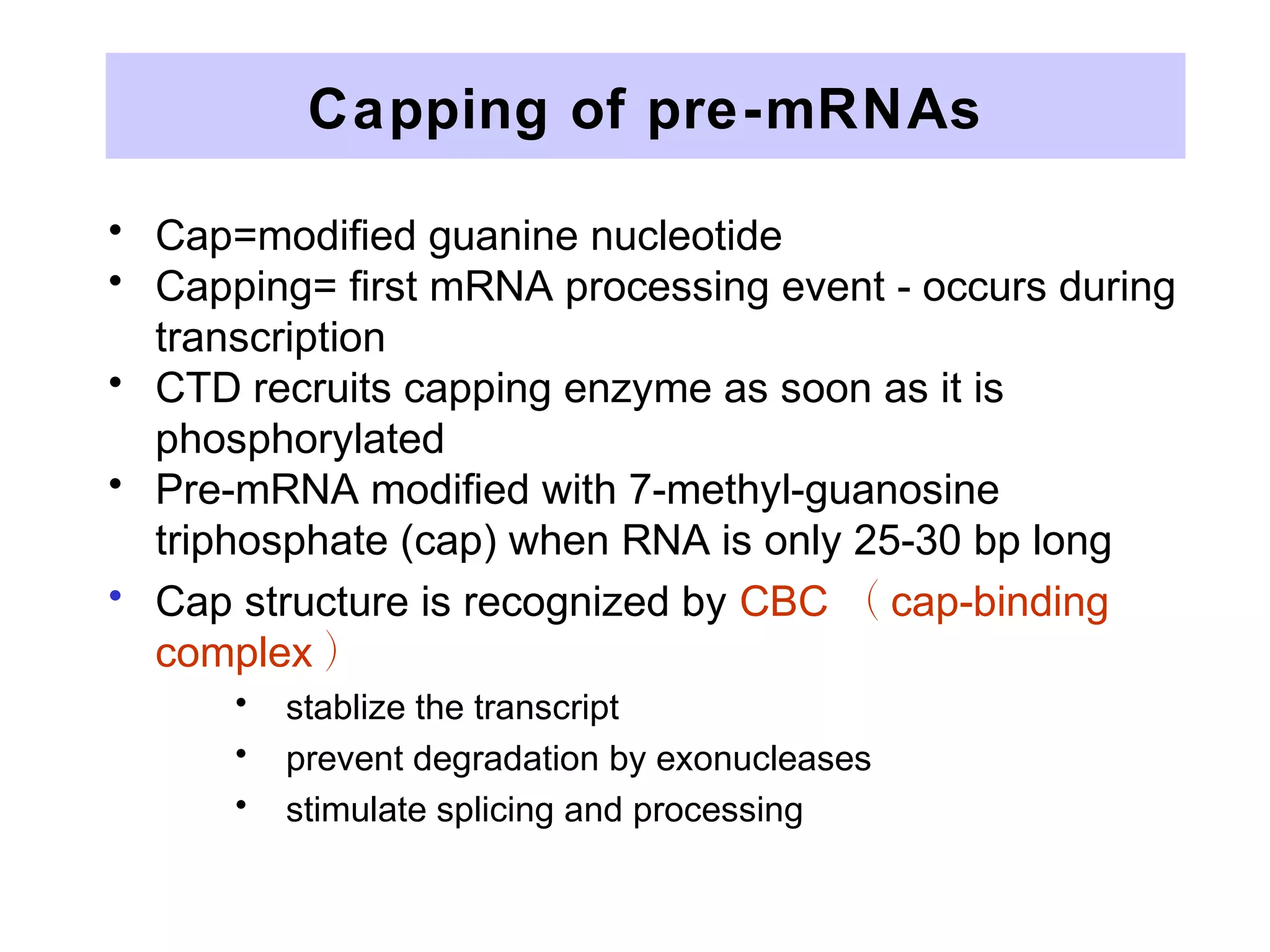 Capping of pre-mRNAs
• Cap=modified guanine nucleotide
• Capping= first mRNA processing event - occurs during
transcription
• CTD recruits capping enzyme as soon as it is
phosphorylated
• Pre-mRNA modified with 7-methyl-guanosine
triphosphate (cap) when RNA is only 25-30 bp long
• Cap structure is recognized by CBC （ cap-binding
complex ）
• stablize the transcript
• prevent degradation by exonucleases
• stimulate splicing and processing
 
