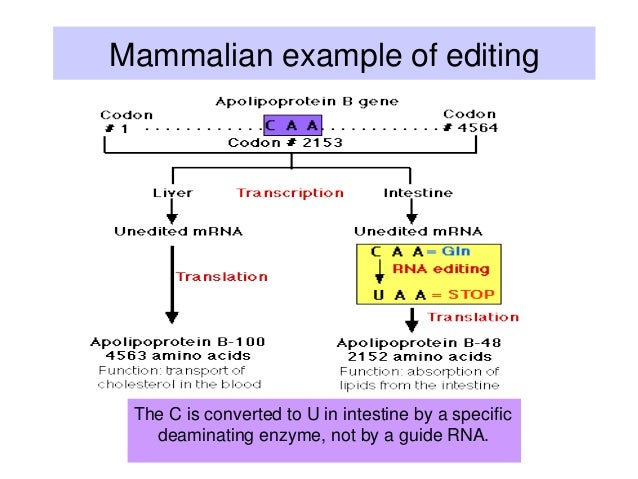 editing machine transcriptions editing machine transcriptions