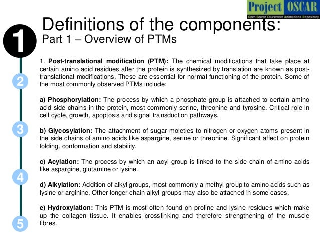 Post Translational Modification