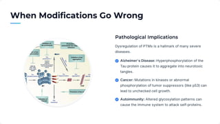 Post-Translational Modifications.ppt molecular biology | PDF