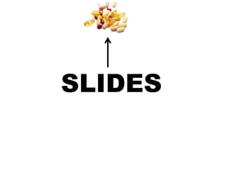 SLIDES
 