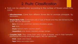 2. Fruits: Classification
 Fruits can be classification according to the number of flowers where they
come.
 Infructescenses: Come from different flowers like for example pineapple, fig,
blackberry…
 Simple fleshy fruits: Come from only a type of flower and they are formed by the
ovary. We can destacate:
o Berry: Avocado, persimmon, banana, strawberry, grapes…
o Boll: Litchi.
o Drupe: Apricot, cherry, coconut, peach…
o Hesperidium: Lime, lemon, mandarin orange, orange…
 Complex fruits: They come from only a type of flower, and in their formation
participate the ovary and other organs. We can destacate:
o Knob: apple, pear, loquat…
o Pepo: Melon and water melon.
 