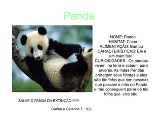 Panda
NOME: Panda
HABITAT: China
ALIMENTAÇÃO: Bambu
CARACTERISTICAS: Ele é
um mamífero.
CURIOSIDADES : Os pandas
vivem na terra e sobem para
árvores. As mães Pandas
protegem seus filhotes e eles
são tão fofos que tem pessoas
que passam a mão no Panda
e não conseguem parar de tão
fofos que eles são.
Carina e Catarina T : 302.
SALVE O PANDA DA EXTINÇÂO !!!!!!!
 