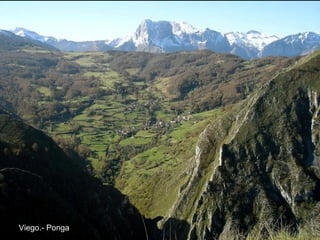 Viego.- Ponga 