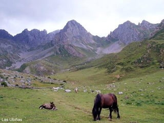 Las Ubiñas 