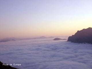 Picos   de  Europa 