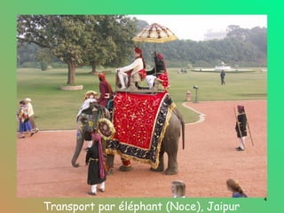 Transport par éléphant (Noce), Jaipur 