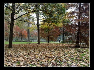 Gijón: Parque de Isabel La Católica
 