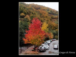 Cangas de Narcea
 