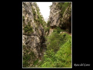 Ruta del Cares
 