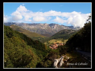 Arenas de Cabrales
 
