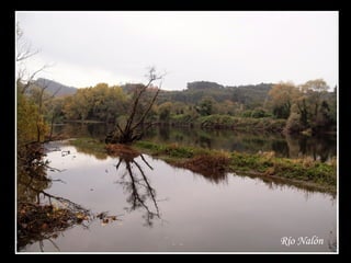 Río Nalón
 