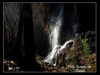 Sta. Eulalia de
Oscos
 