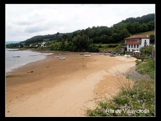 Ría de Villaviciosa
 