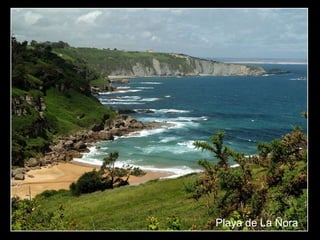 Playa de La Ñora
 
