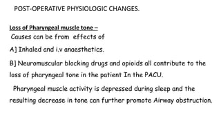 POST-OPERATIVE PHYSIOLOGIC CHANGES.
Loss of Pharyngeal muscle tone –
Causes can be from effects of
A] Inhaled and i.v anaesthetics.
B] Neuromuscular blocking drugs and opioids all contribute to the
loss of pharyngeal tone in the patient In the PACU.
Pharyngeal muscle activity is depressed during sleep and the
resulting decrease in tone can further promote Airway obstruction.
 