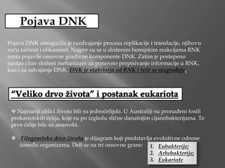 Pojava DNK omogućila je razdvajanje procesa replikacije i translacije, njihovu
veću tačnost i efikasnost. Najpre su se u složenim hemijskim reakcijama RNK
sveta pojavile osnovne gradivne komponente DNK. Zatim je postepeno
nastao čitav složeni mehanizam za ponovno prepisivanje informacije u RNK,
kao i za udvajanje DNK. DNK je stabilnija od RNK i teže se razgrađuje.
 Najstariji oblici života bili su jednoćelijski. U Australiji su pronađeni fosili
prokariotskih ćelija, koje su po izgledu slične današnjim cijanobakterijama. Te
prve ćelije bile su anaerobi.
 Filogenetsko drvo života je dijagram koji predstavlja evolutivne odnose
između organizama. Deli se na tri osnovne grane: 1. Eubakterije;
2. Arhebakterije;
3. Eukariote
 