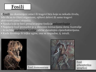 Fosili su okamenjeni ostaci ili tragovi bića koja su nekada živela,
bilo da su to čitavi organizmi, njihovi delovi ili samo tragovi
aktivnosti (otisci stopala).
 Nauka koja se bavi proučavanjme fosila je paleontilogija.
 Najstariji fosil pronađen je u drevnim formacijama stena Australije
– to su bile prokariotske ćelije, slične današnjim cijanobakterijama.
 Kada životinja ili biljka ugine, ona se raspadne, tj. istruli.
Fosil tiranosaurusa
Fosil
arheopteriksa
(praptice)
 