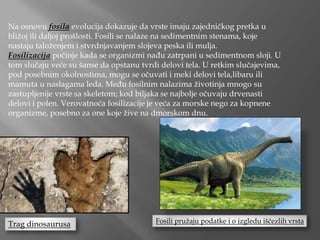 Na osnovu fosila evolucija dokazuje da vrste imaju zajedničkog pretka u
bližoj ili daljoj prošlosti. Fosili se nalaze na sedimentnim stenama, koje
nastaju taloženjem i stvrdnjavanjem slojeva peska ili mulja.
Fosilizacija počinje kada se organizmi nađu zatrpani u sedimentnom sloji. U
tom slučaju veće su šanse da opstanu tvrdi delovi tela. U retkim slučajevima,
pod posebnim okolnostima, mogu se očuvati i meki delovi tela,libaru ili
mamuta u naslagama leda. Među fosilnim nalazima životinja mnogo su
zastupljenije vrste sa skeletom; kod biljaka se najbolje očuvaju drvenasti
delovi i polen. Verovatnoća fosilizacije je veća za morske nego za kopnene
organizme, posebno za one koje žive na dmorskom dnu.
Trag dinosaurusa Fosili pružaju podatke i o izgledu iščezlih vrsta
 