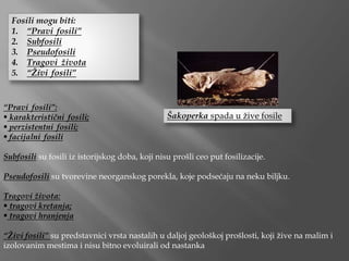 Fosili mogu biti:
1. “Pravi fosili”
2. Subfosili
3. Pseudofosili
4. Tragovi života
5. “Živi fosili”
“Pravi fosili”:
 karakteristični fosili;
 perzistentni fosili;
 facijalni fosili
Subfosili su fosili iz istorijskog doba, koji nisu prošli ceo put fosilizacije.
Pseudofosili su tvorevine neorganskog porekla, koje podsećaju na neku biljku.
Tragovi života:
 tragovi kretanja;
 tragovi hranjenja
“Živi fosili” su predstavnici vrsta nastalih u daljoj geološkoj prošlosti, koji žive na malim i
izolovanim mestima i nisu bitno evoluirali od nastanka
Šakoperka spada u žive fosile
 