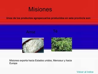 PRODUCCION AGRICOLA EN ARGENTINA Y EL CONFLICTO DEL CAMPO | PPT