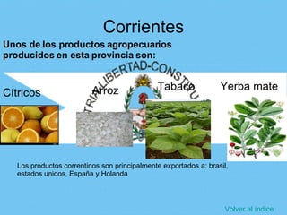 PRODUCCION AGRICOLA EN ARGENTINA Y EL CONFLICTO DEL CAMPO | PPT