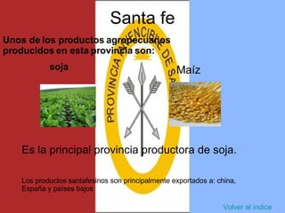 PRODUCCION AGRICOLA EN ARGENTINA Y EL CONFLICTO DEL CAMPO | PPT