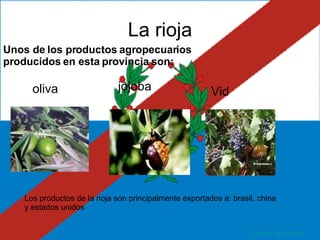 PRODUCCION AGRICOLA EN ARGENTINA Y EL CONFLICTO DEL CAMPO | PPT